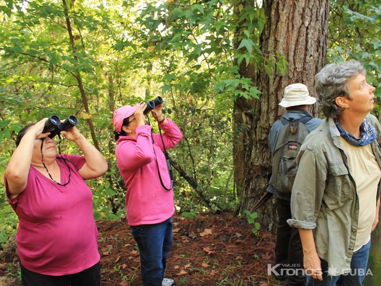  - Nature Tour "Birdwatching on the Enigma of the Rock Trail