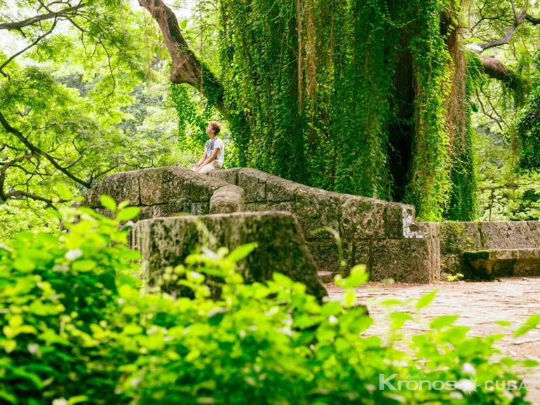 "Almendares Metropolitan Park, Nature Photo Safari" Tour - "Almendares Metropolitan Park, Nature Photo Safari" Tour