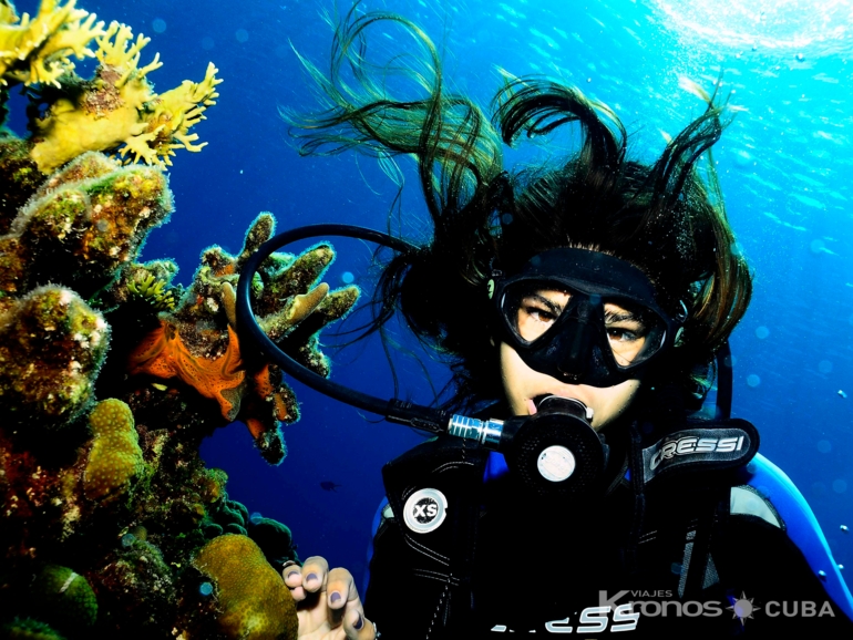 Scuba diving tour in Varadero - “Scuba Diving in Varadero“ Tour