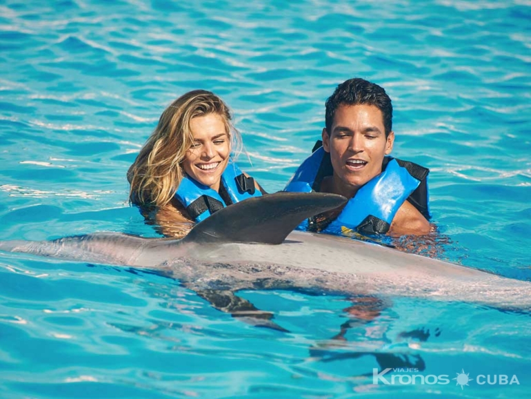 catamaran with dolphins cayo coco