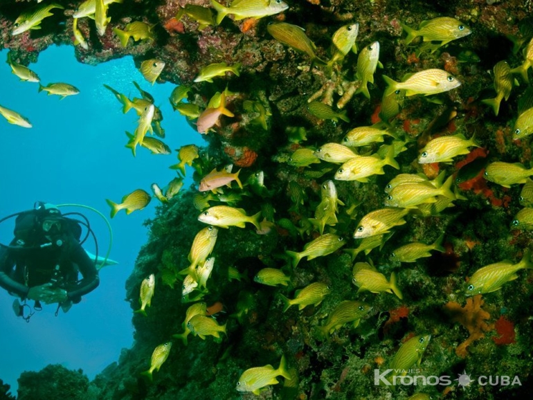 "Diving in in Covarrubias" Tour - Excursión "Buceo en Covarrubias”