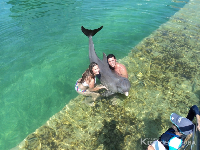 Swimming with dolphins tour at Cayo Santa María dolphinarium - Excursión “Baño con Delfines en Cayo Santa María”