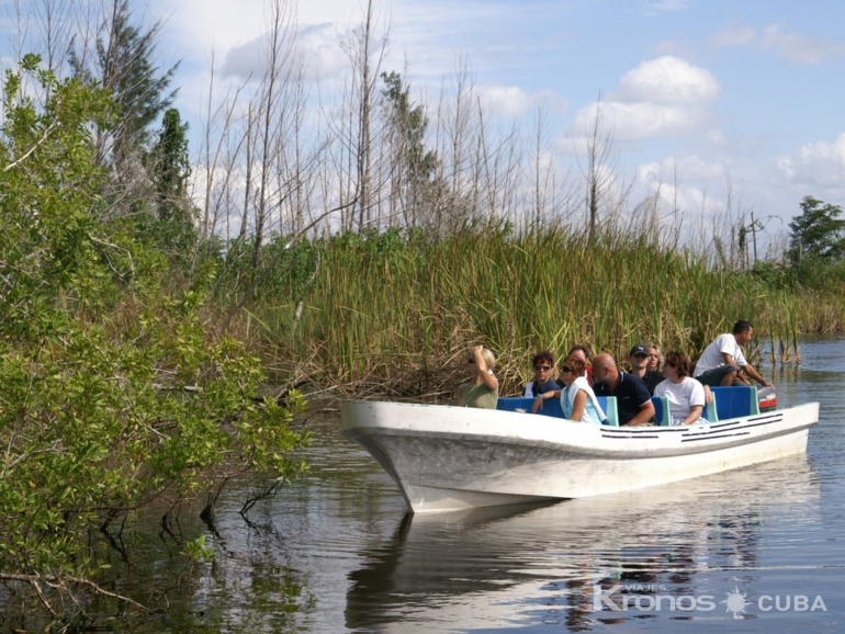 Speedboat tour on Hatiguanico river - “Guamá special with Hatiguanico River” Tour