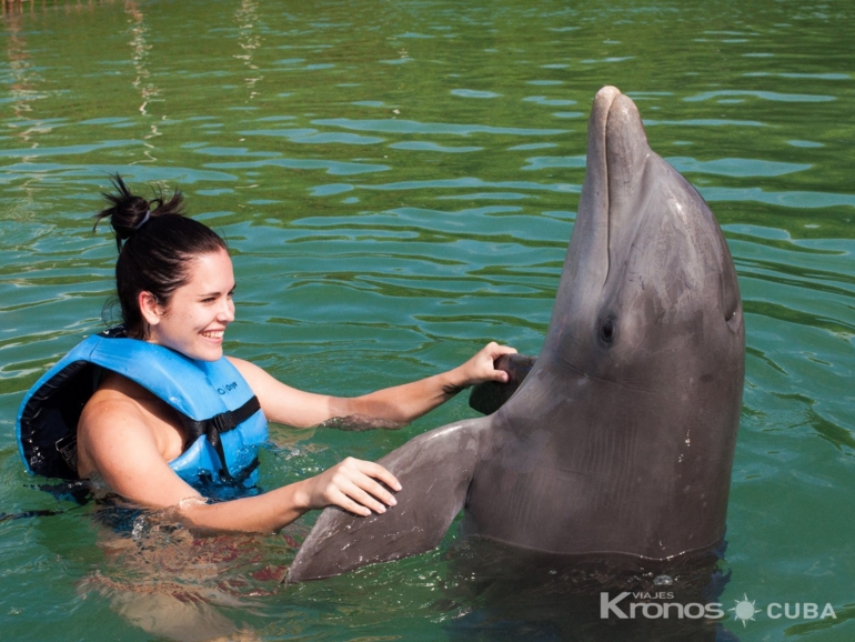 Swimming with dolphins tour at Cayo Guillermo dolphinarium - Excursión Baño con Delfines