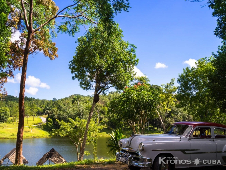 “Ride to Las Terrazas in Old Fashion American Classic Cars” Tour - Excursión “Paseo a Las Terrazas en Carros Clásicos Americanos”