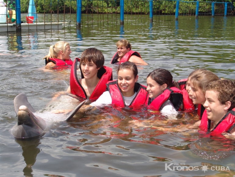 Swimming with dolphins tour at Varadero dolphinarium - "Swimming with dolphins at Varadero" Excursion