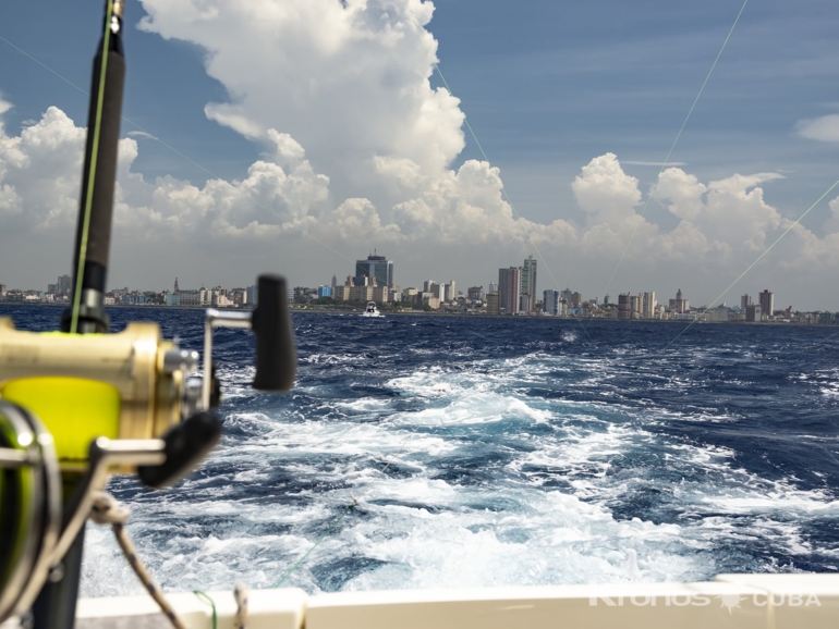 Fishing Tour  DEEP SEA FISHING IN TROPICAL CUBA - EcoCuba Pro