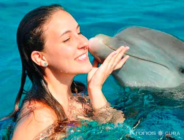Dolphin Experience in Varadero - "Excursión en barco con experiencia con delfines"