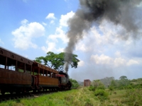 Steam train through the Valle de los Ingenios, Trinidad, Cuba