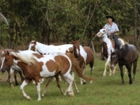 La Guabina Ranch, Pinar del Río, Cuba