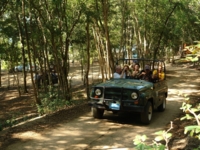 Jeep Safary