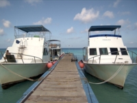 Diving boats