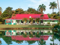 Restaurant view