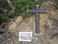 "Cruz of The Vine", in the same place that was planted By Christopher Columbus in 1492.