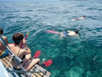 Snorkelling in open sea