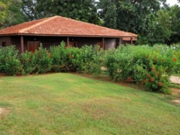 Panoramic batey view