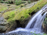 El Salto de Soroa Waterfall