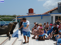 Sealions show at Bahia de Naranjo dolphinarium, Holguin