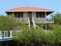 Panoramic View