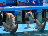Dolphin show at Bahia de Naranjo dolphinarium, Esmeralda beach, Holguin