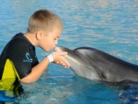 Swimming with dolphins at Bahia de Naranjo dolphinarium