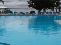 Swimming´s pool view