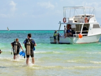 Scuba diving tour in Cayo Guillermo
