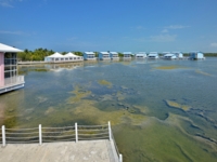 Panoramic hotel & lagoon view