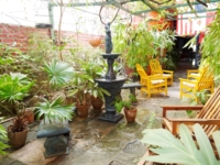 Inside patio view