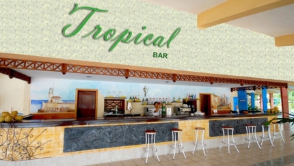 Pool Snack Bar Tropical