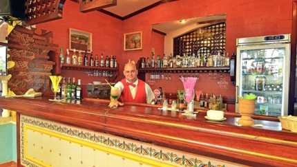 Bar El Patio de los Artistas (Villa section)