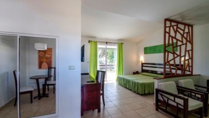 Tropical Junior Suite Room