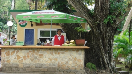 Bar Tropical