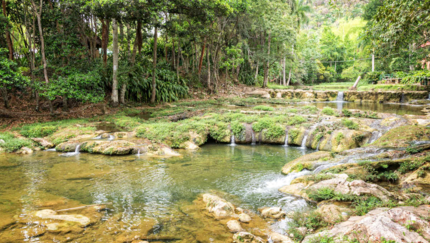 Las Terrazas, WESTERN SKYLINE RIDE, Group tour