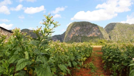 VIÑALES, WESTERN SKYLINE RIDE, Group tour