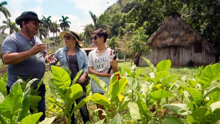 Tobacco plantations, Viñales, WESTERN CUBA TREK, Group tour