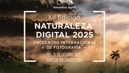 DIGITAL NATURE 2025