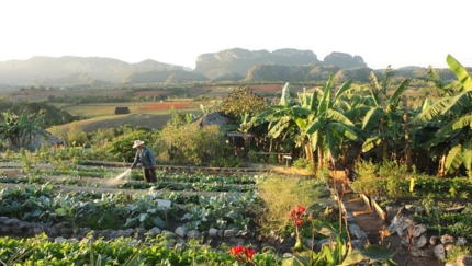 Agroecological Farm, Bike Cuba, Group tour