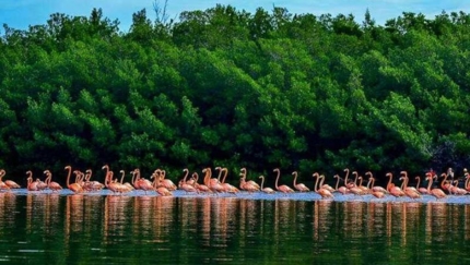 Guanaroca lagoon park, BIKE TOUR CENTRAL CUBA