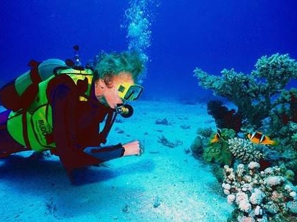 "Diving in Playa Larga-Playa Girón"