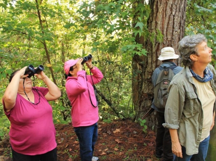 Nature Tour "Birdwatching on the Enigma of the Rock Trail