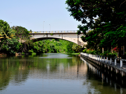 "Almendares Metropolitan Park, Nature Photo Safari" Tour