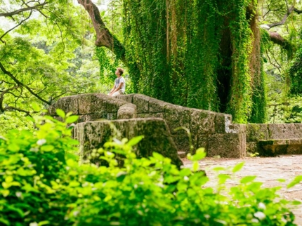 "Almendares Metropolitan Park, Nature Photo Safari" Tour