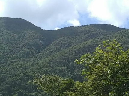 "Lomas de Banao" Ecological Reserve.