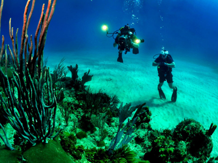 "Diving in in Covarrubias" Tour