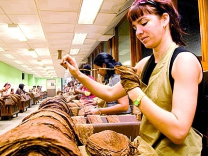 Tobacco factory, Havana City