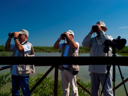 Birdwatching in the Zapata Peninsula - "Hiking and Birdwatching"