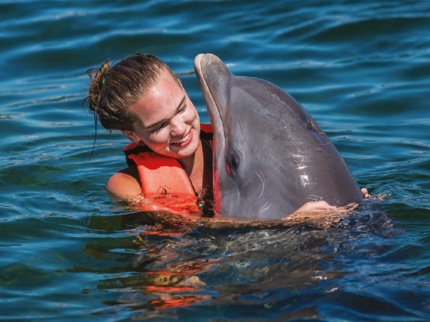 Swimming with dolphins at Rancho Cangrejo dolphinarium
