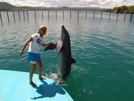 Swimming with dolphins at Bahía de Naranjo dolphinarium, Holguín