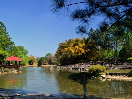 Botanical  National Garden, Havana City